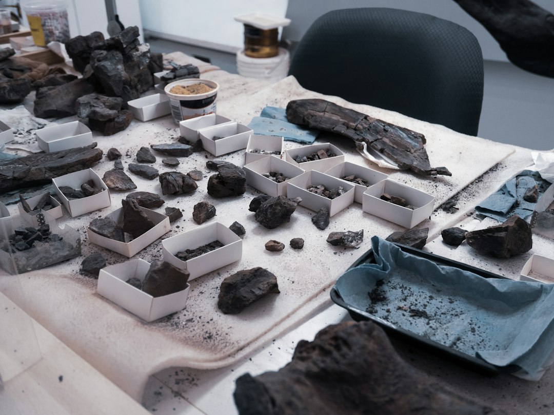 Critical mineral ore samples